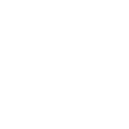 ChatGPT_代工能力-白.png
